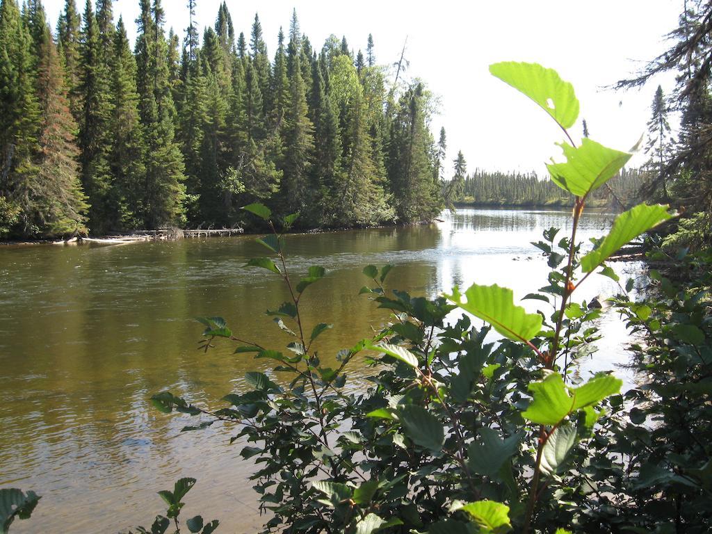 Bed and Breakfast Gite De La Riviere Chibougamau Exteriér fotografie